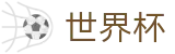 国际足联世界杯FIFA · 玩法规则图解大全 · 2026世界杯投注软件